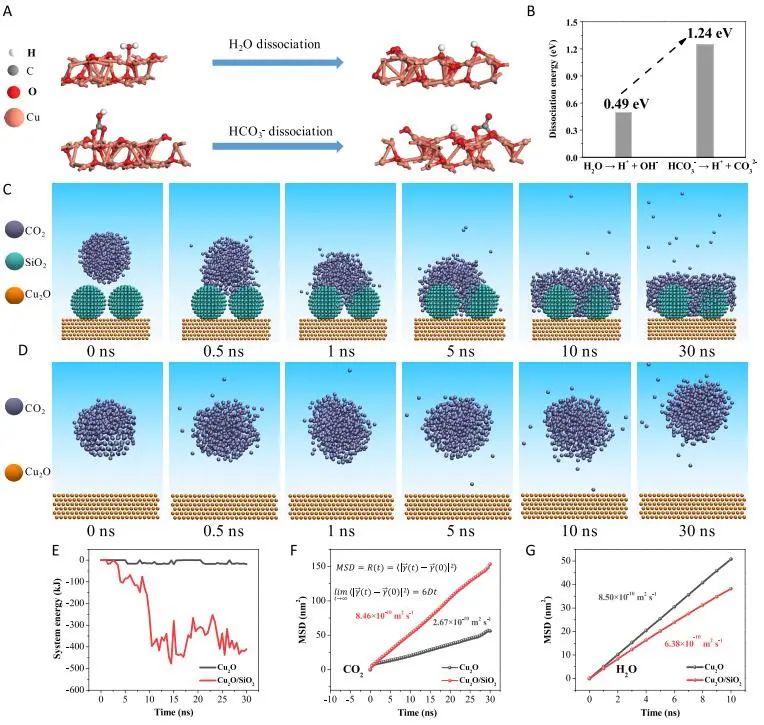 催化頂刊集錦：JACS、AEM、AFM、Adv. Sci.、ACS Catal.、ACS Nano、Small等成果