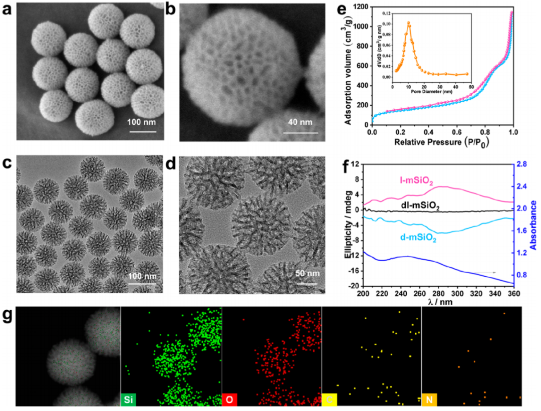 趙東元院士，最新JACS！