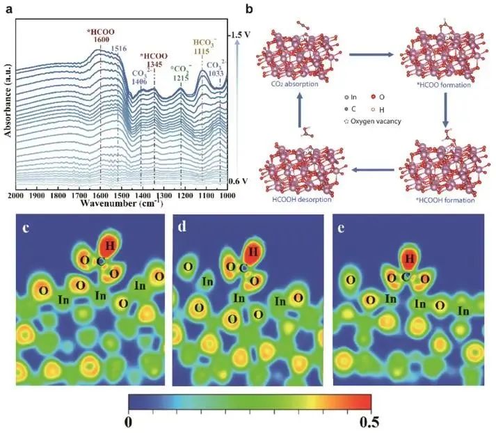 催化頂刊集錦：Nature子刊.、Angew.、JACS、ACS Catalysis、AFM、Small等成果