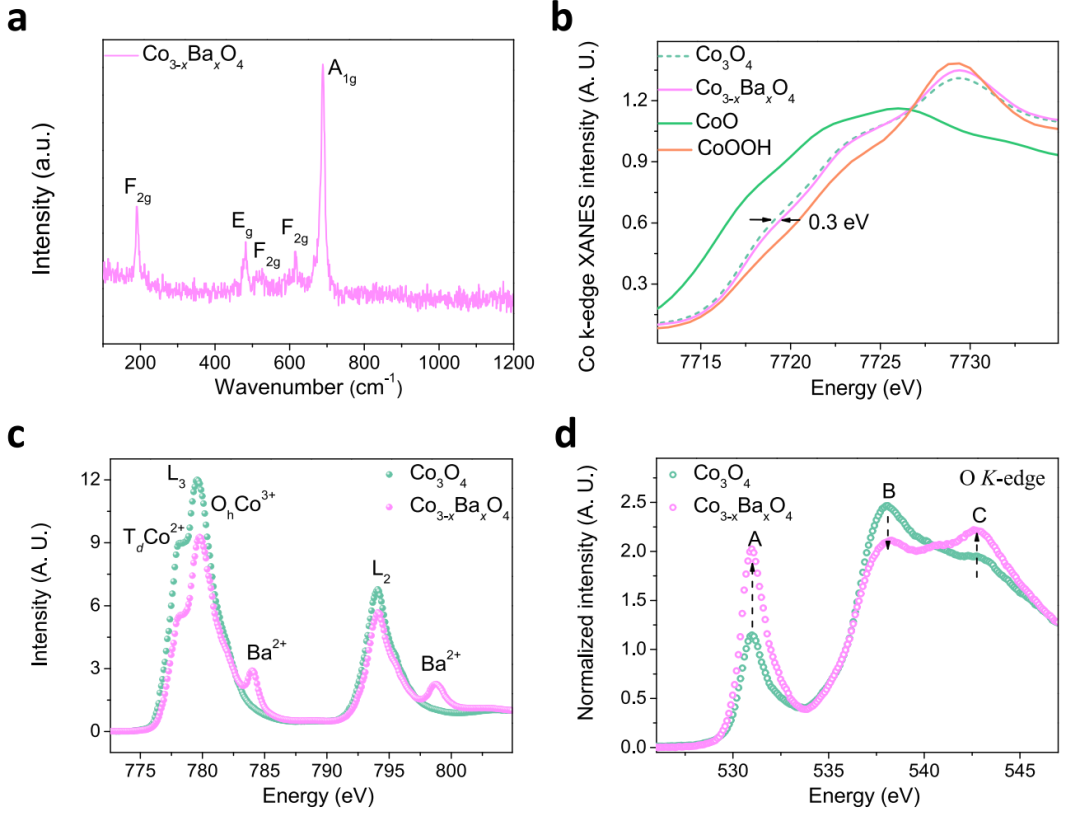 超燃！他發(fā)表第16篇Nature Catalysis，第36篇JACS！