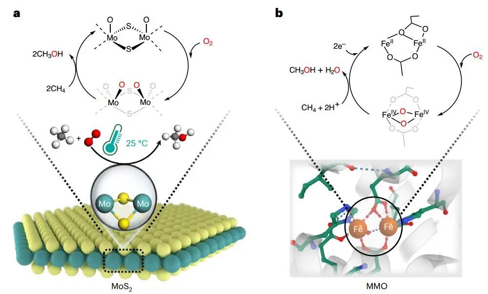 計(jì)算文獻(xiàn)速遞：Nature Catalysis、EES、JACS、Chem、EnSM、Nat. Commun.等！