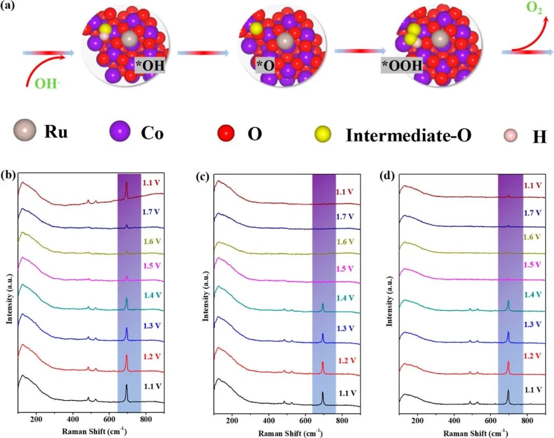 ACS Catalysis：在具有氧缺陷的Co3O4上原位固定原子分散釕以實(shí)現(xiàn)高效的析氧