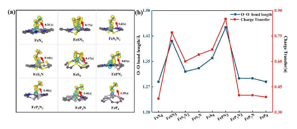 【純計算】ChemSusChem：構(gòu)建用于高性能氧氧化還原反應(yīng)Fe單原子催化劑中的N，S和N，P共配位