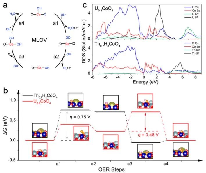 8篇催化頂刊：JACS、ML、JMCA、Small Methods、Small、Appl. Catal. B.等成果