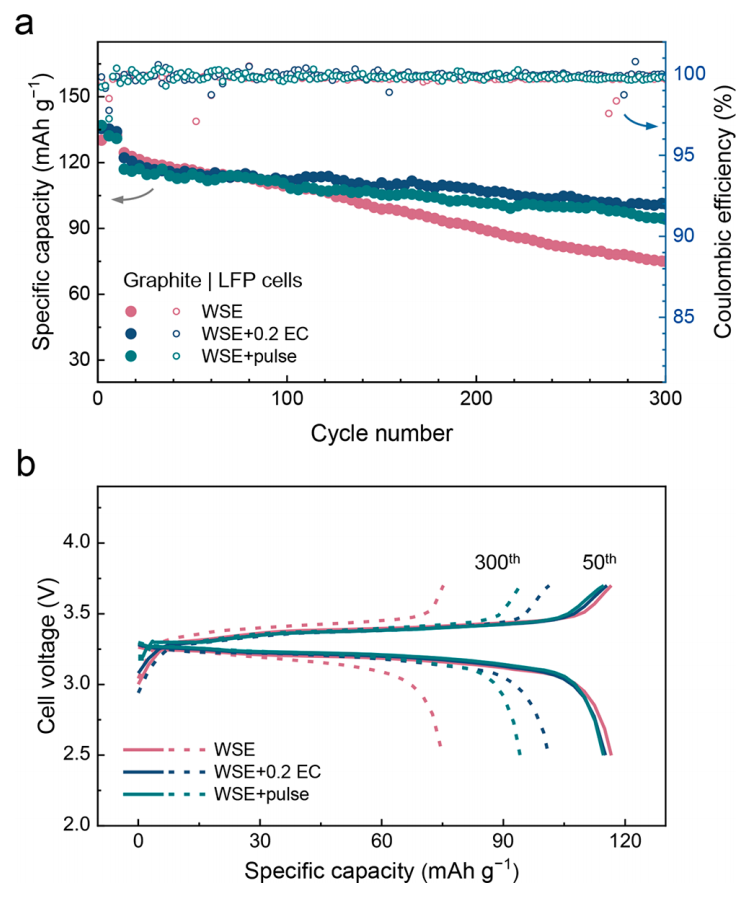 張強(qiáng)教授，2023年首篇JACS！