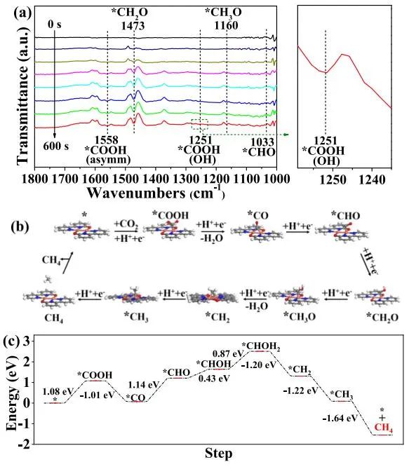 陳小明院士/廖培欽教授JACS：Cuobpy-SL助力中性電解質(zhì)中CO2還原為CH4