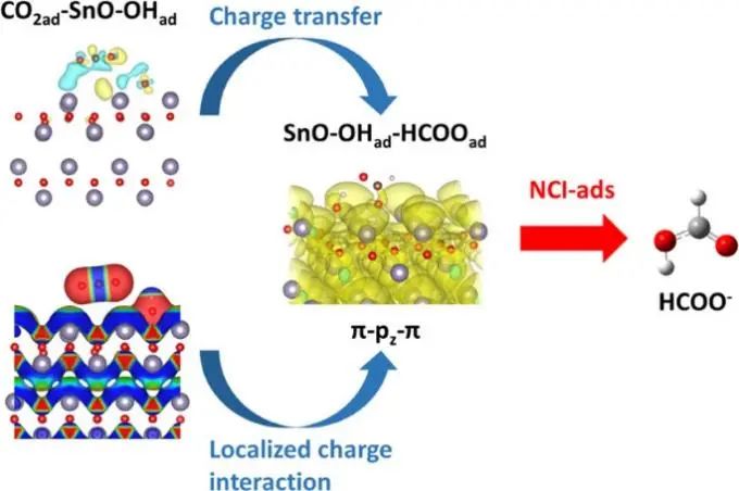 8篇催化頂刊：EES、Angew、ACS Catal.、Nano Energy、Adv. Sci.等