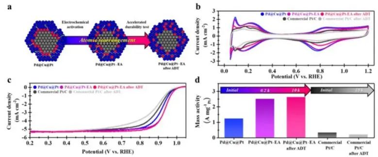 8篇催化頂刊：Angew.、AFM、Small、Chem. Eng. J.、ACS Catal.等最新成果