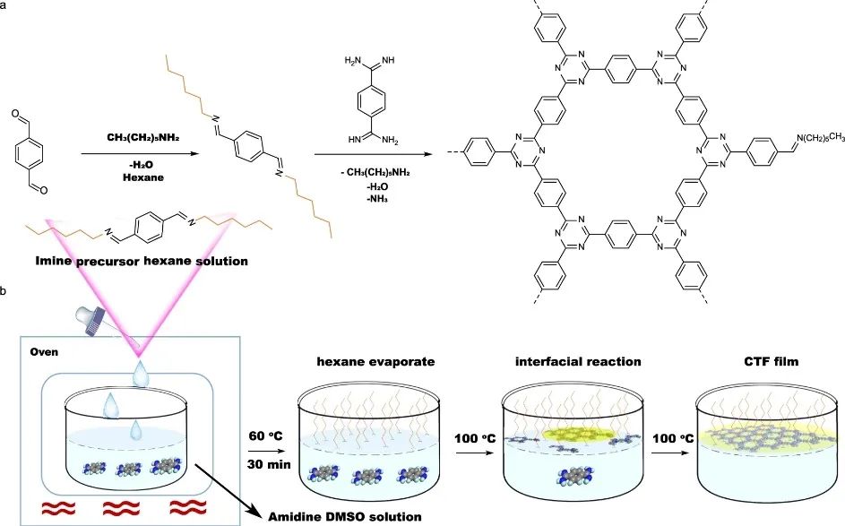 華科譚必恩Nature子刊：大橫向尺寸、可控厚度！固定化CTFs薄膜助力光催化HER