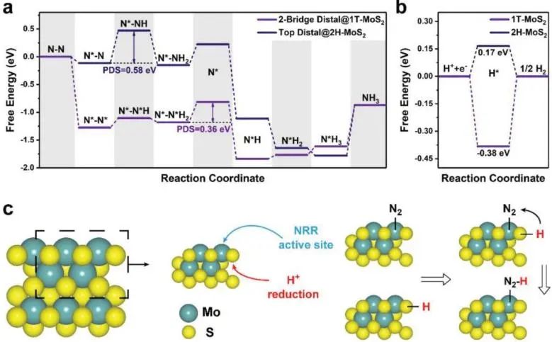 8篇催化頂刊：JACS、Nano Lett.、ACS Catal.、AM/Adv. Sci.、Small等最新成果