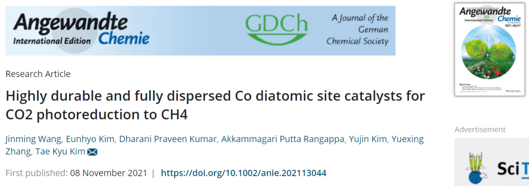 延世大學/湖北大學Angew.：首次報道！高度耐用且完全分散的雙Co原子位點催化劑助力CO2光還原為CH4