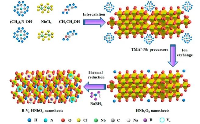 大工侯軍剛ACS Nano: 二維缺陷硼摻雜鈮酸納米片用于穩(wěn)健的氮光固定