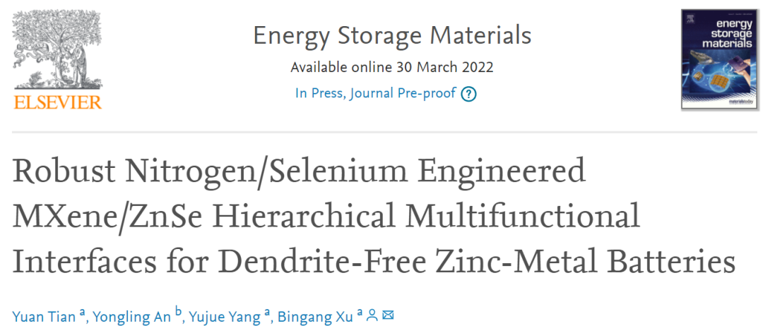 香港理工徐賓剛EnSM: 用于無枝晶鋅金屬電池的穩(wěn)定分層多功能界面