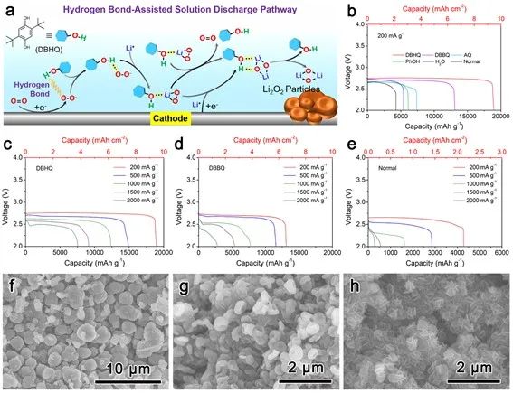 長春應化所張新波AM：氫鍵輔助溶液放電實現(xiàn)高性能Li-O2電池