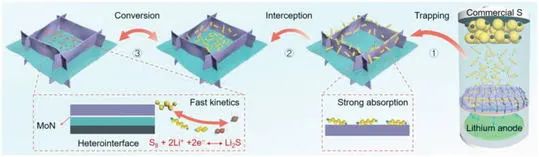 范壯軍/魏彤/劉征AEM: 實現(xiàn)鋰硫電池高穩(wěn)定性/高硫利用率的莫特-肖特基異質層