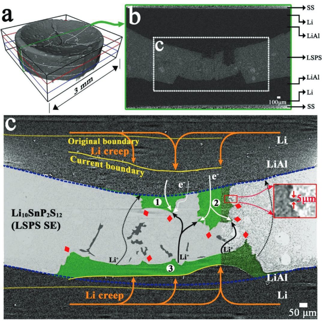 崔光磊/董杉木等AEM：多種手段厘清全固態(tài)電池中的電-化學(xué)-機(jī)械的耦合