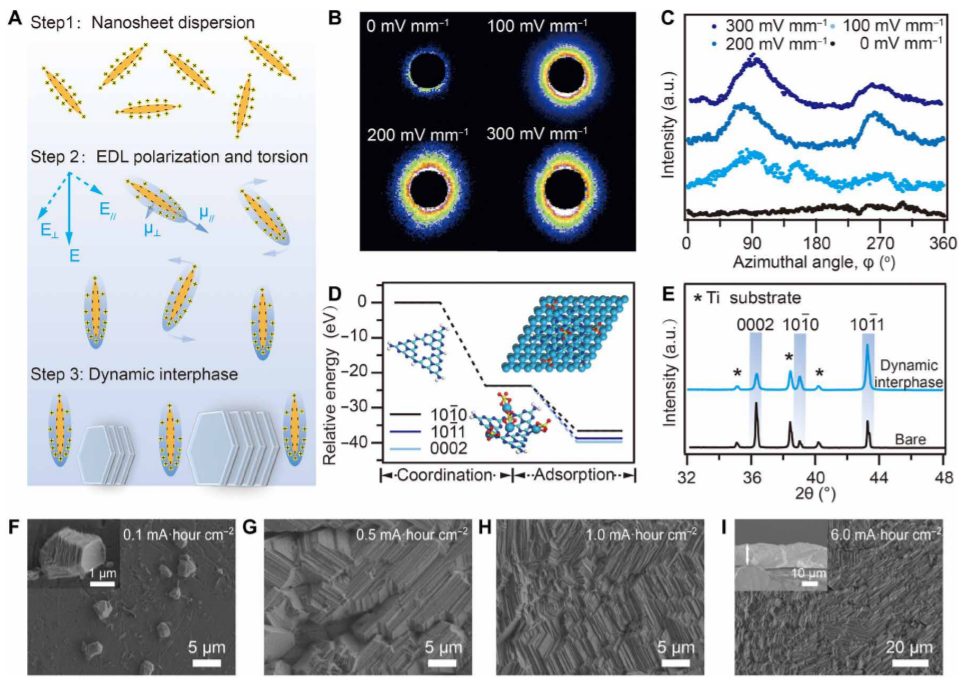 浙大陸盈盈Science Advances：動態(tài)界面介導(dǎo)金屬沉積，助力深度循環(huán)金屬電池