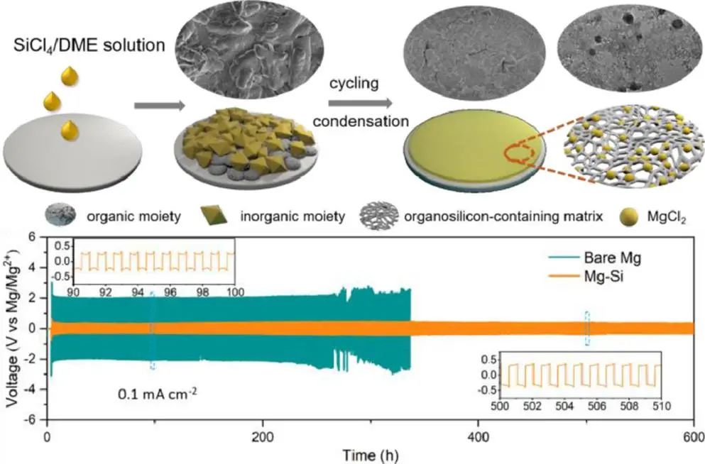 上硅所李馳麟EnSM: 耐用異質(zhì)SEI實現(xiàn)傳統(tǒng)電解液中的可逆鎂金屬負極