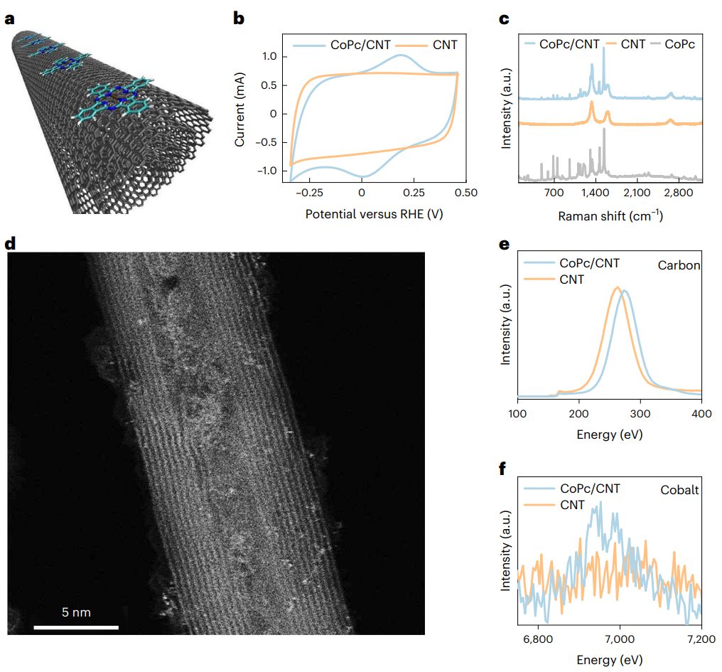 投稿到接收僅半年！耶魯大學王海梁團隊，最新Nature Nanotechnology！