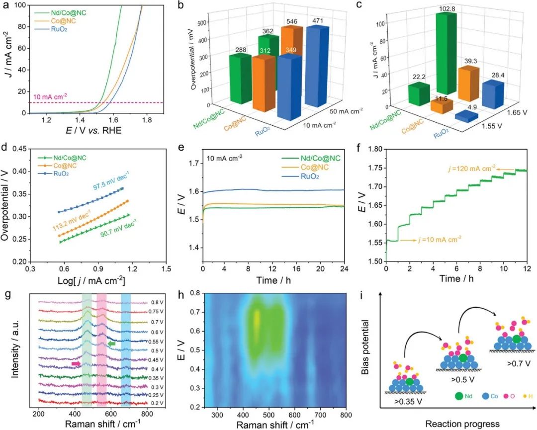 催化頂刊集錦：AFM、JMCA、AEM、AM、ACS Catalysis、Small等成果