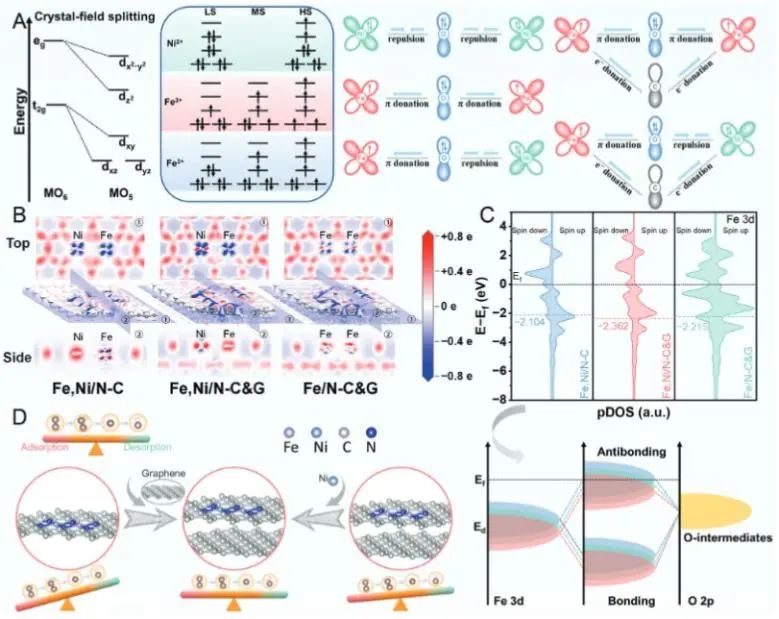 郭洪課題組AFM：推拉電子效應(yīng)調(diào)控d-p軌道成鍵行為，顯著增強(qiáng)ORR活性