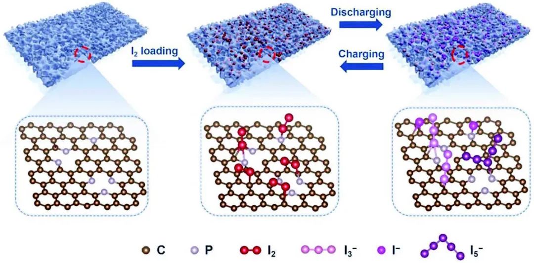 ?廈大周堯/李君濤AFM：P摻雜二維碳作為宿主實現(xiàn)無穿梭效應Zn-I2電池
