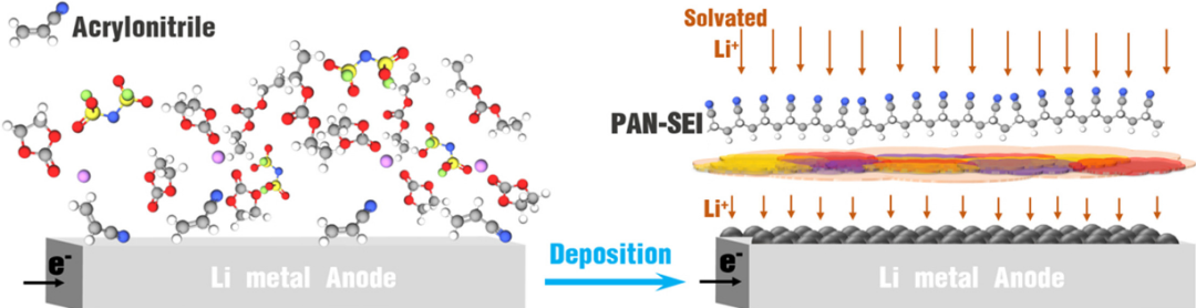 Nano Energy：通過丙烯腈電聚合調(diào)節(jié)鋰金屬電池中鋰沉積