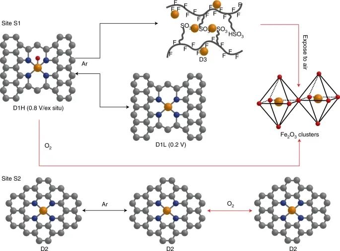 Nature Catalysis：是誰變了性？對Fe-N-C催化劑原位降解的理解