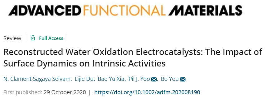 瘋狂收割頂刊！“OER重構(gòu)”大匯總：AFM/Matter/Angew/Nano Energy等