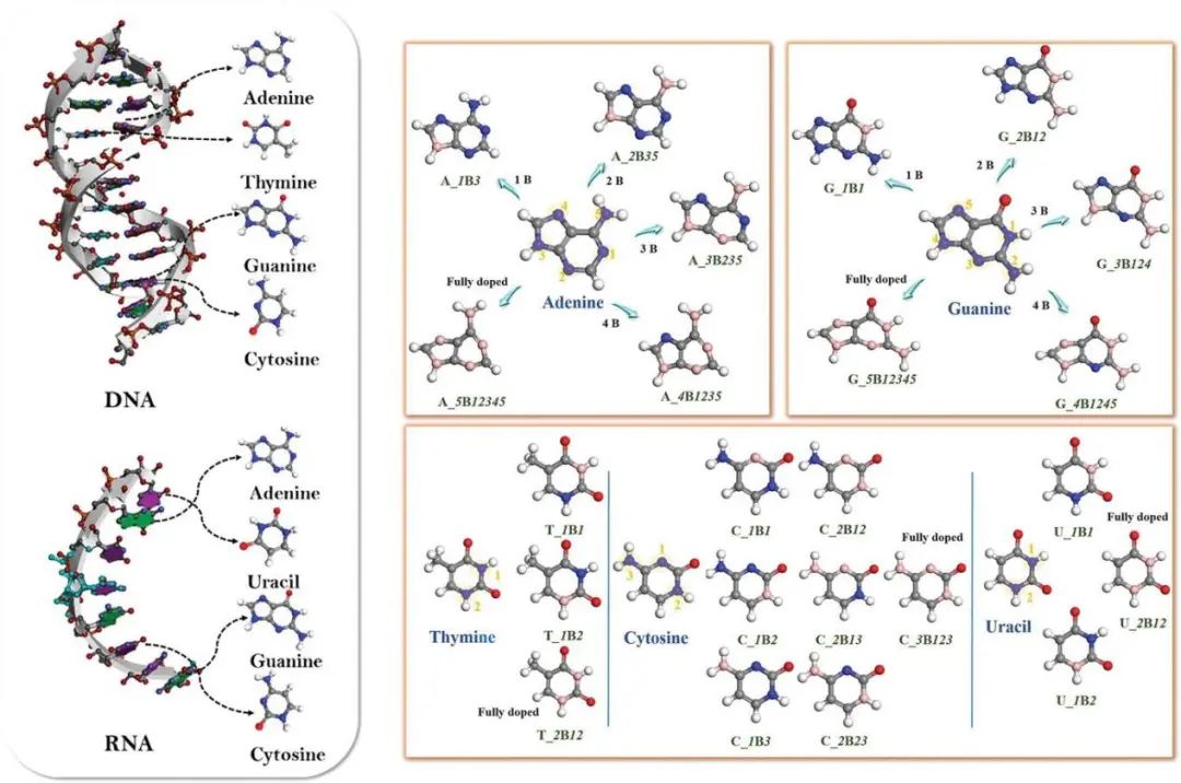 電池頂刊集錦：Mater. Today/AFM/JACS/Adv. Sci./EnSM/Nano Lett.等成果速遞