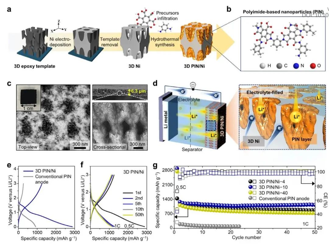 電池頂刊集錦：EES、AEM、AFM、Adv. Sci.、EnSM、Small等最新成果