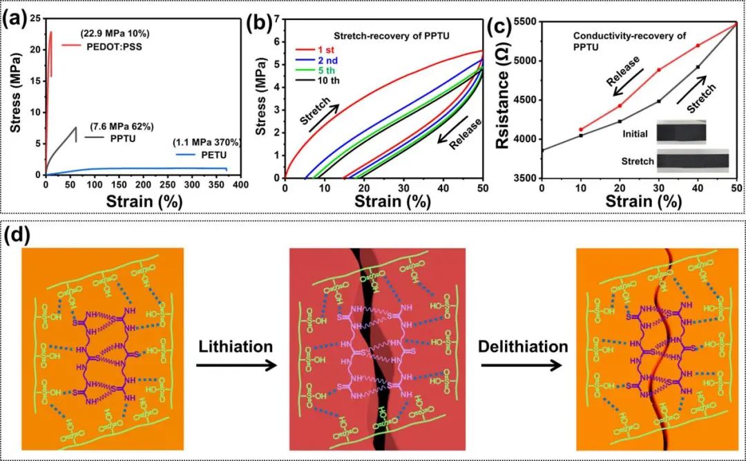 袁帥/呂盈盈ACS Nano: 用于高性能鋰離子電池的高導電性、彈性和自愈性聚合物粘結劑