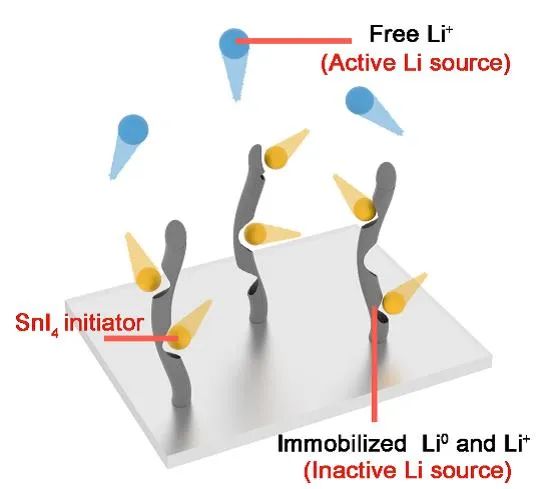 清華大學(xué)張強Angew：回收“死鋰”提高實用鋰金屬電池兩倍壽命
