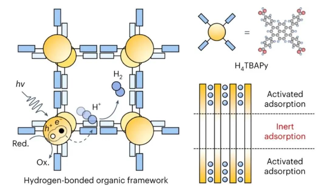 ?朱永法/郭燕，最新Nature Catalysis！