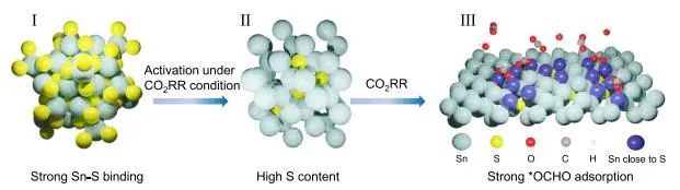 喬世璋?Nature子刊：電化學(xué)活化π-SnS催化劑，實(shí)現(xiàn)工業(yè)電流下酸性CO2-HCOOH電解