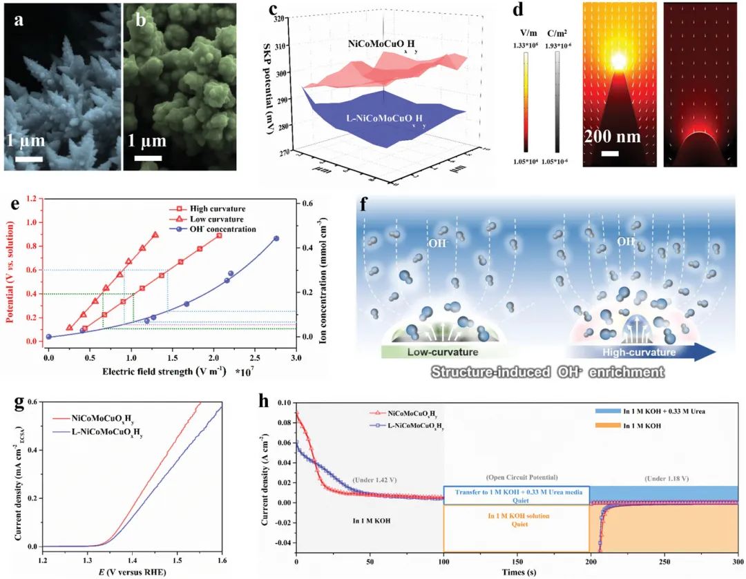 八篇催化頂刊：AM、AFM、EES、ACS Nano、Small、Appl. Catal. B等成果