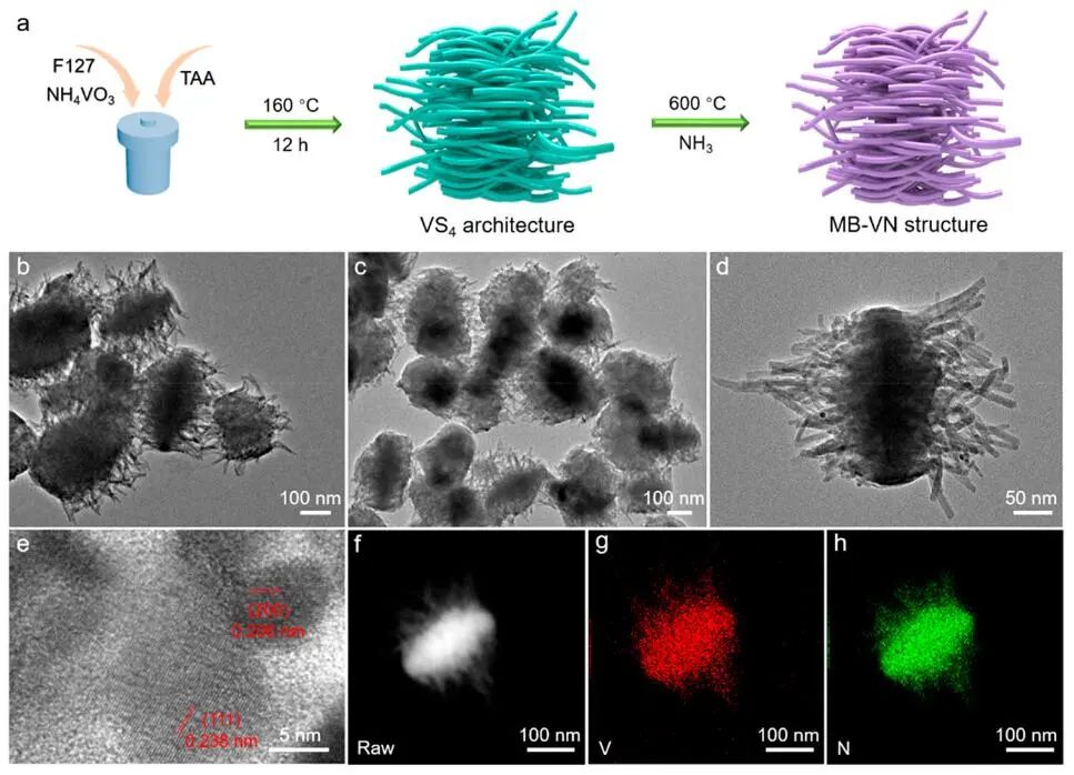 金鐘/張偉/馬連波ACS Nano：MB-VN電催化劑助力Li-S電池在寬溫度內(nèi)運(yùn)行