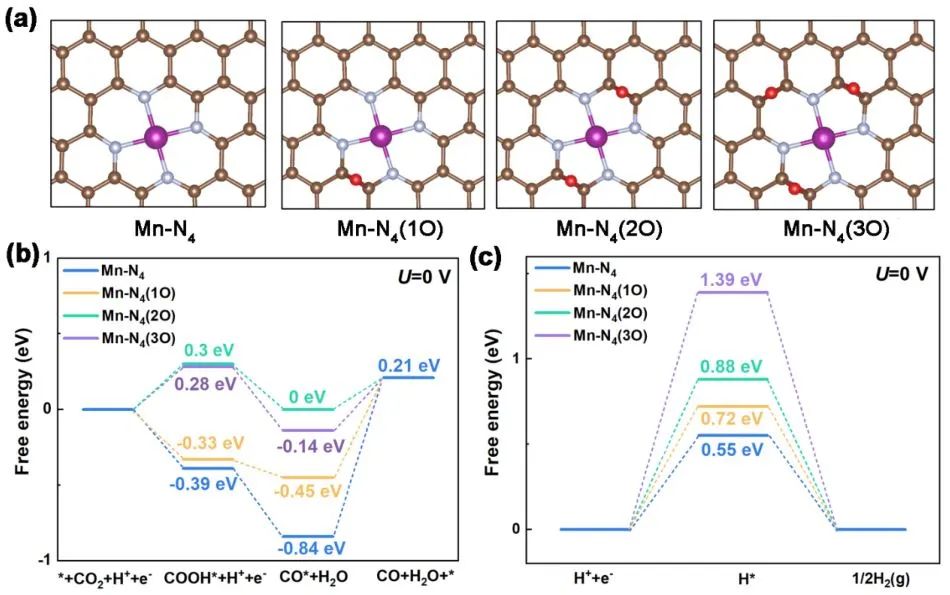 【計算+實驗】頂刊集錦：Angew、AM、AFM、Small、ACS Catalysis等成果精選