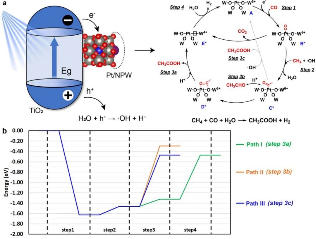 催化頂刊集錦：AFM、JACS、Adv. Sci.、ACS Nano、JMCA、CEJ等成果