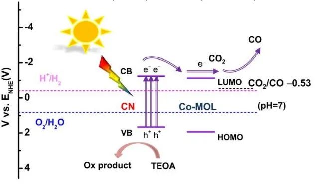 催化頂刊集錦：AFM、JACS、Adv. Sci.、ACS Nano、JMCA、CEJ等成果