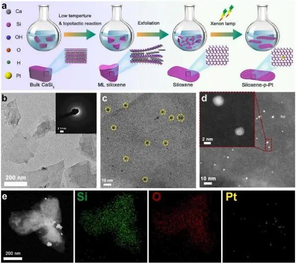 8篇催化頂刊：Angew.、Small、Nano-Micro Lett.、Appl. Catal. B.等成果