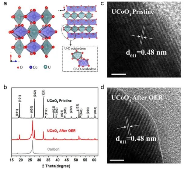 8篇催化頂刊：JACS、ML、JMCA、Small Methods、Small、Appl. Catal. B.等成果