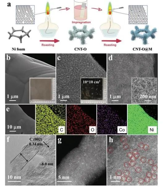 8篇催化頂刊：EES、Angew、ACS Catal.、Nano Energy、Adv. Sci.等