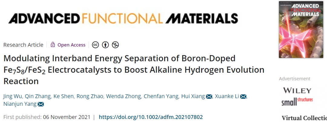 錫根大學(xué)/武科大AFM：調(diào)節(jié)硼摻雜Fe7S8/FeS2電催化劑的帶間能量分離以促進(jìn)堿性HER