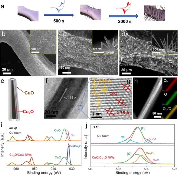 8篇催化頂刊：EES、Small、Adv. Sci.、JMCA、Nano Energy、Chem. Eng. J.等最新成果