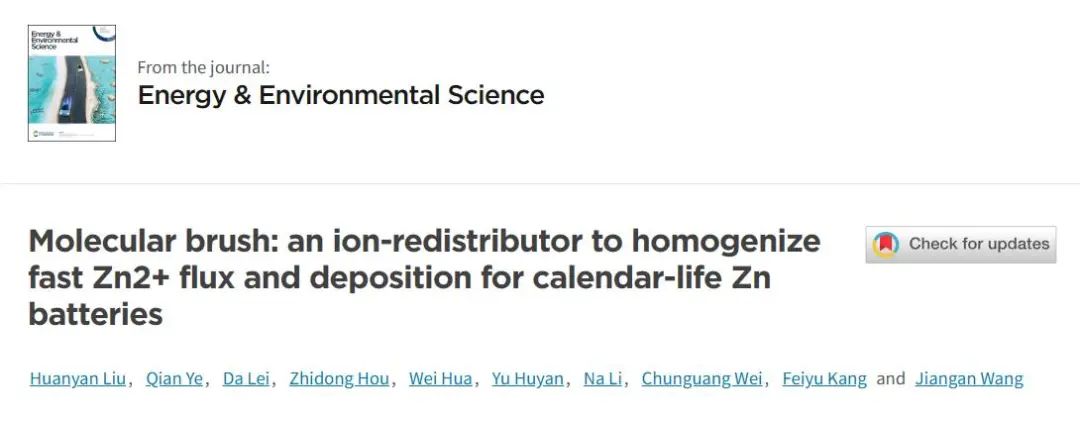 王建淦教授EES：用于均勻化日歷壽命鋅電池的快速 Zn2+ 通量和沉積的離子再分布器