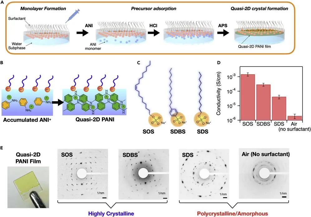 馮新亮院士等Chem：實(shí)時研究！水界面上表面活性劑單層輔助生長結(jié)晶準(zhǔn)2D聚合物