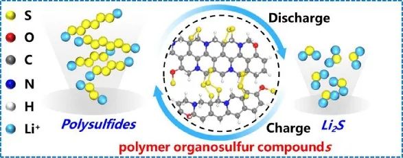 于中振/曲晉/郭玉國(guó)EnSM：聚合物氧化還原介質(zhì)助力鋰硫電池1000圈循環(huán)！