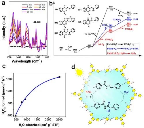 催化頂刊集錦：AFM、JMCA、AEM、AM、ACS Catalysis、Small等成果