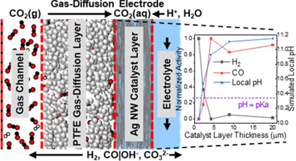 ACS Catal.：高縱橫比Ag納米線電極助力CO2電化學(xué)轉(zhuǎn)化為CO